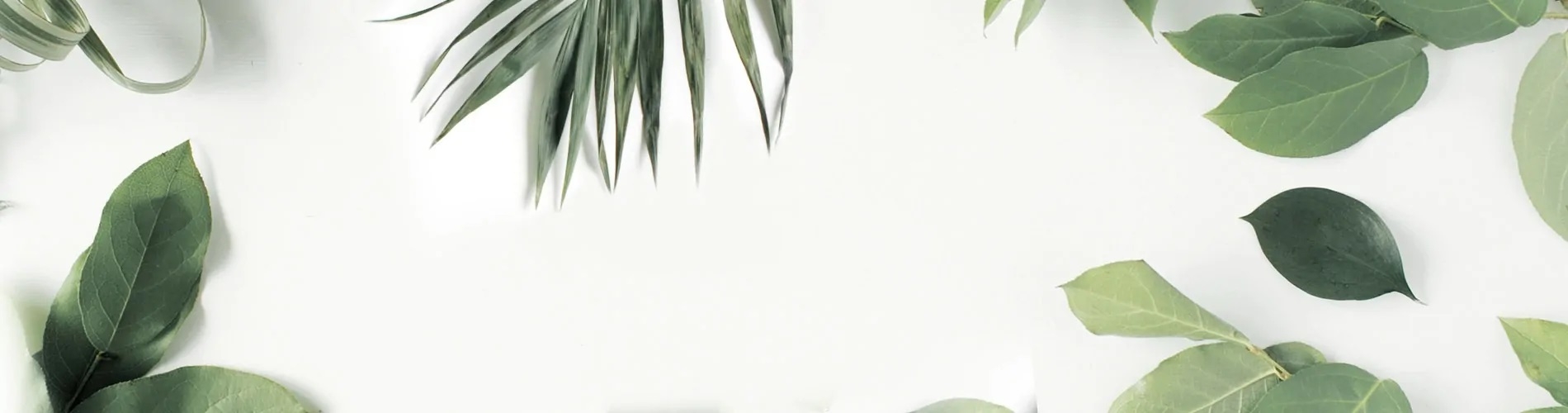 banner-foto