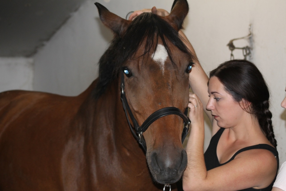 Body-Release-by-Kelly-equinetouch